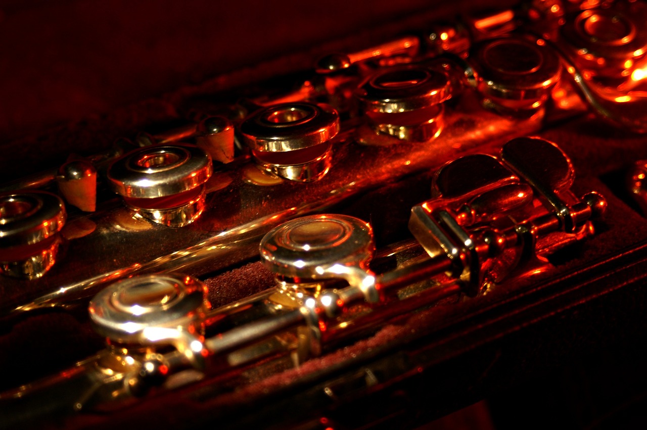 flute, disassembled, box-80881.jpg